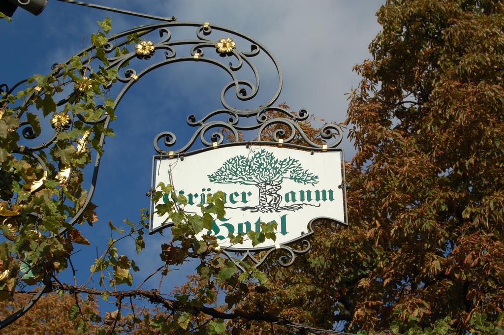 Hotel Gruener Baum Bretzenheim Kültér fotó